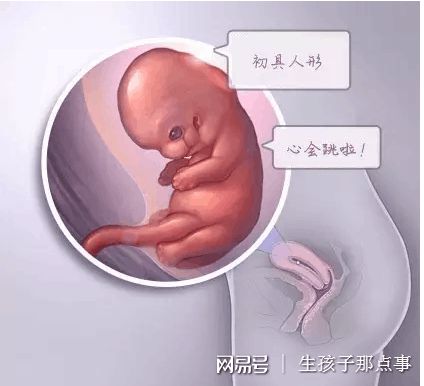 高龄二胎成功案例